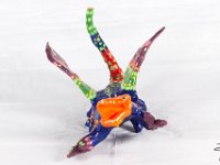 LU-2018-alebrijes-005 : alebrije