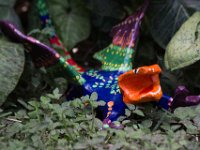 LU-2018-alebrijes-038 : alebrije