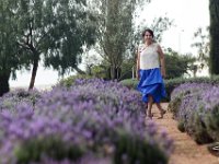 LU-2018-lavanda-006 : lavanda, mineral de pozos, sylvia